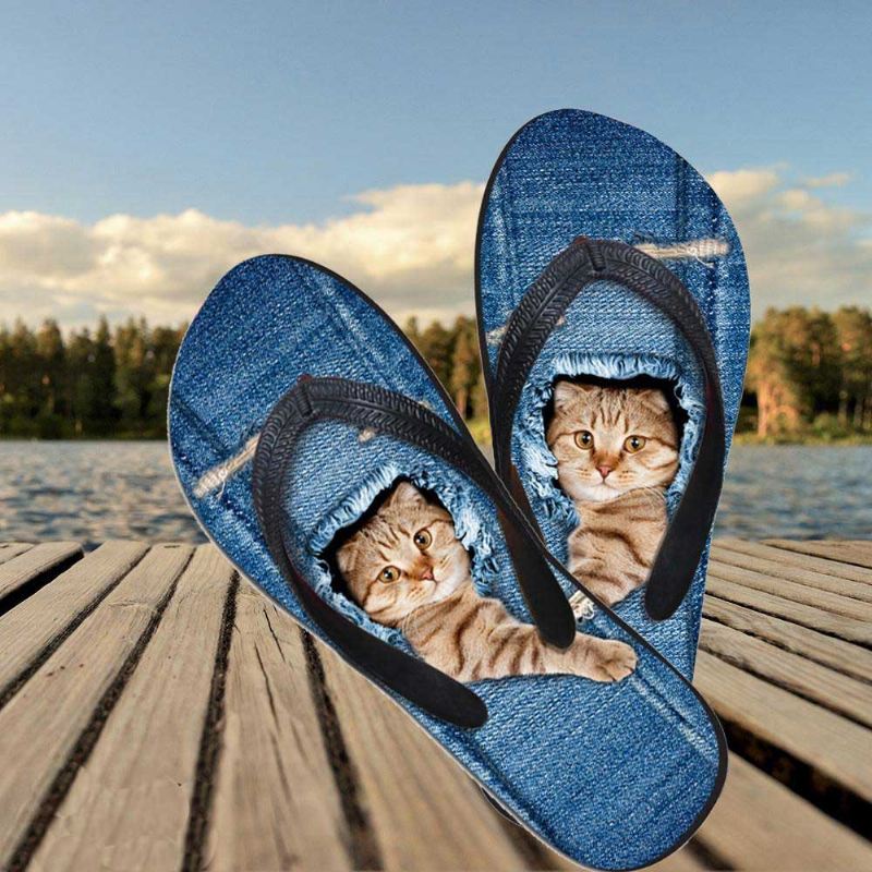 baas kat teenslippers