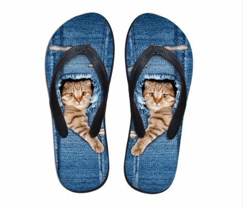 baas kat teenslippers