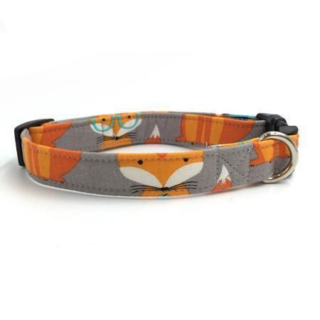 de fox fashion pet-set met halsband en riem