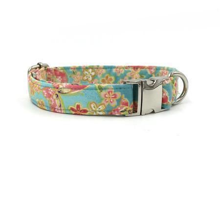 de tuinmode huisdierenset van halsband en riem