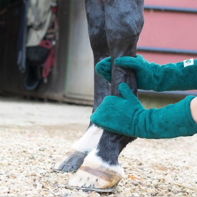 handschoenen voor huisdieren