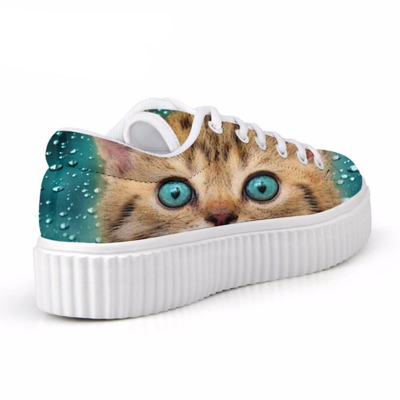 schattige kat klimplanten schoenen