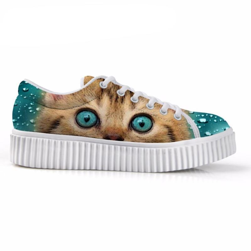 schattige kat klimplanten schoenen