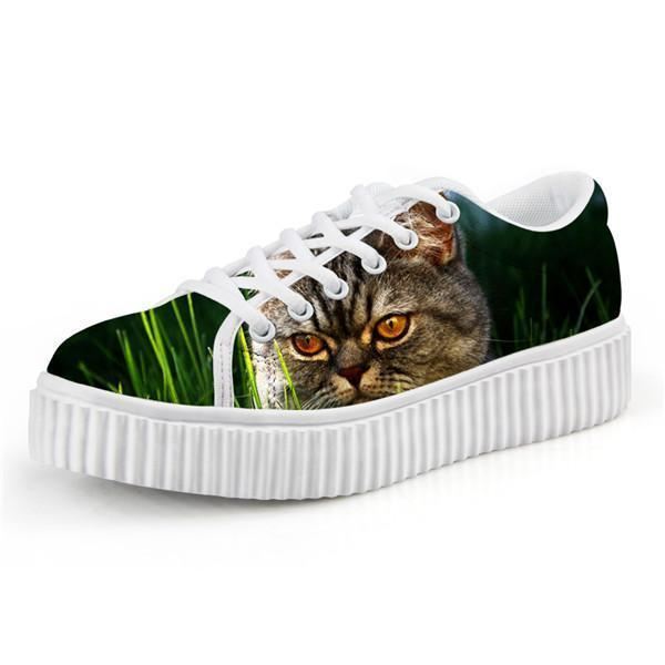 schattige kat klimplanten schoenen