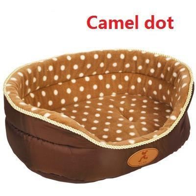  camel dot